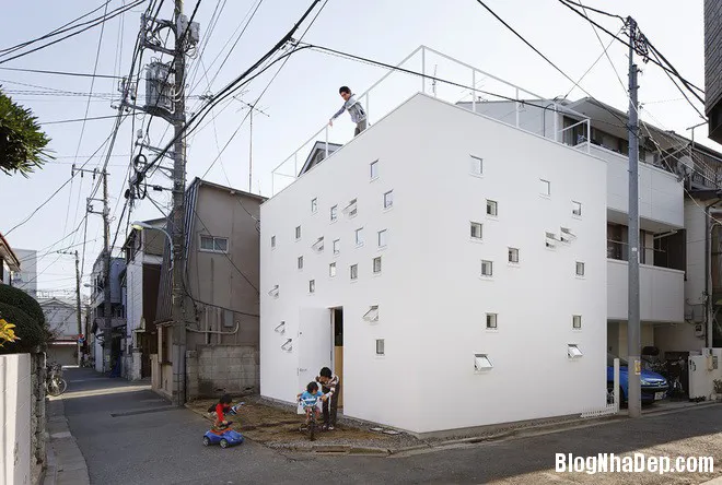 Ngôi nhà với nhiều cửa sổ rộng 72m2 ở Nhật Bản