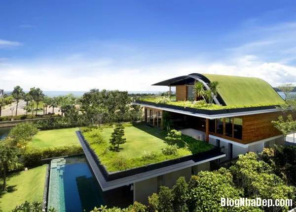 Ngôi nhà xanh được bao bọc bởi thảm cỏ