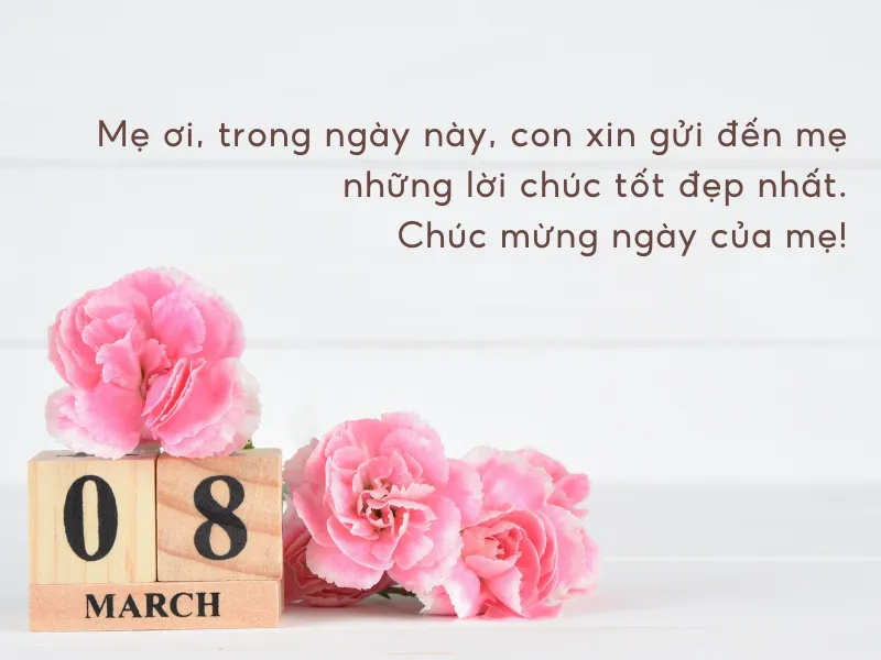 100+ lời chúc 8/3 cho mẹ ý nghĩa, ấn tượng