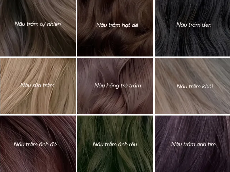 13+ màu tóc nâu trầm thanh lịch, cực kỳ thu hút cho phái nữ