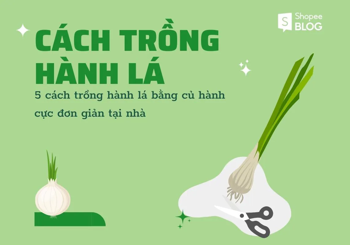 5 cách trồng hành lá bằng củ hành cực đơn giản tại nhà