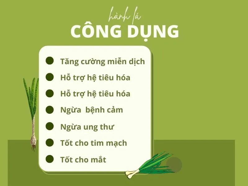 5 cách trồng hành lá bằng củ hành cực đơn giản tại nhà