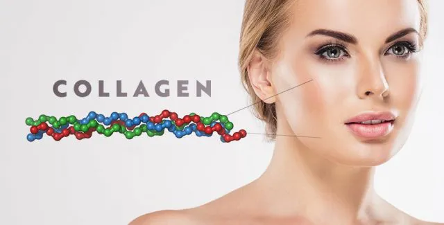 Bạn đã biết những tác dụng của collagen mang lại?