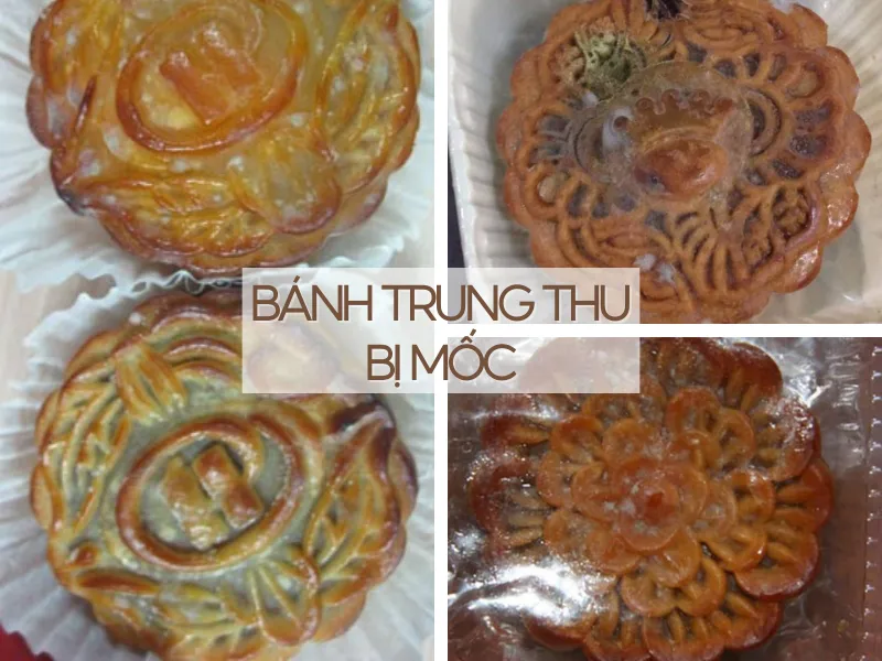 Bánh trung thu để được bao lâu? Cách bảo quản bánh trung thu