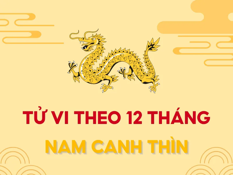 Bình giải lá số tử vi Canh Thìn 2023 nam mạng chi tiết