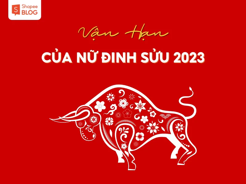 Bình giải lá số tử vi Đinh Sửu 2023 nữ mạng chính xác nhất