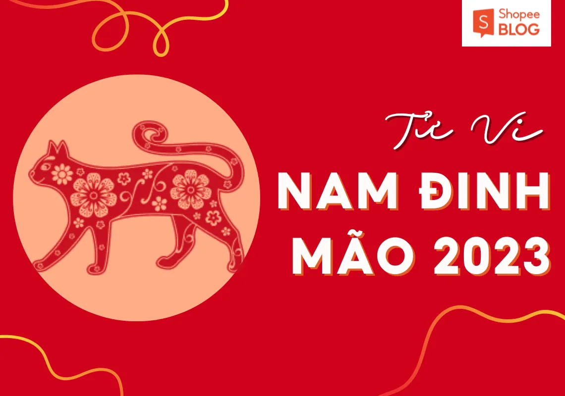 Bình giải lá số tử vi tuổi Đinh Mão năm 2023 nam mạng chính xác nhất