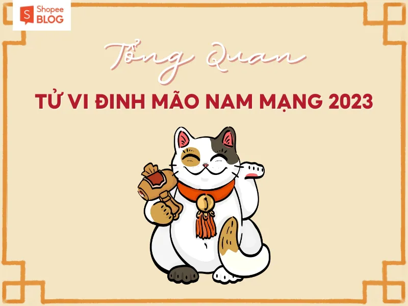 Bình giải lá số tử vi tuổi Đinh Mão năm 2023 nam mạng chính xác nhất