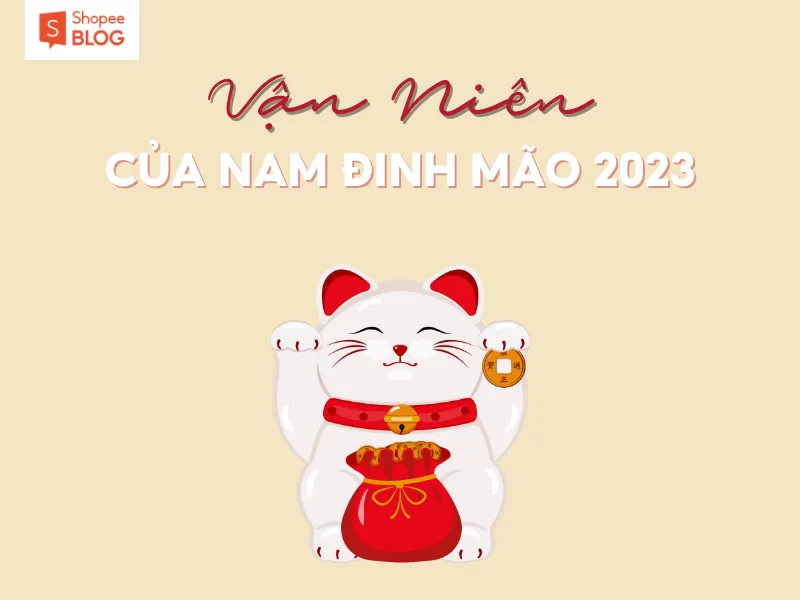 Bình giải lá số tử vi tuổi Đinh Mão năm 2023 nam mạng chính xác nhất