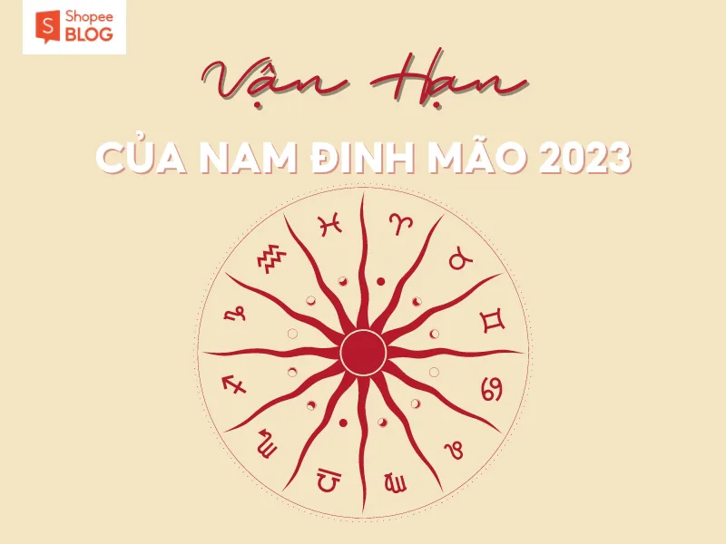 Bình giải lá số tử vi tuổi Đinh Mão năm 2023 nam mạng chính xác nhất