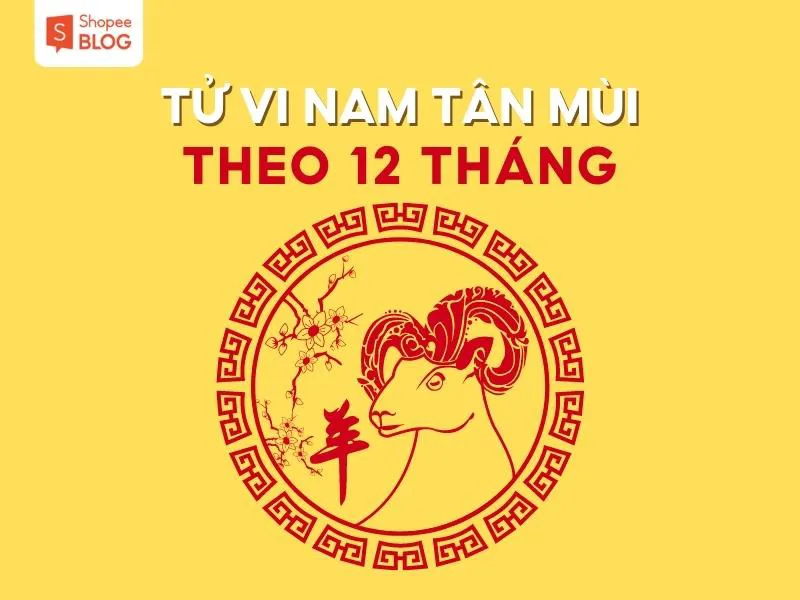 Bình giải lá số tử vi tuổi Tân Mùi năm 2023 nam mạng chi tiết