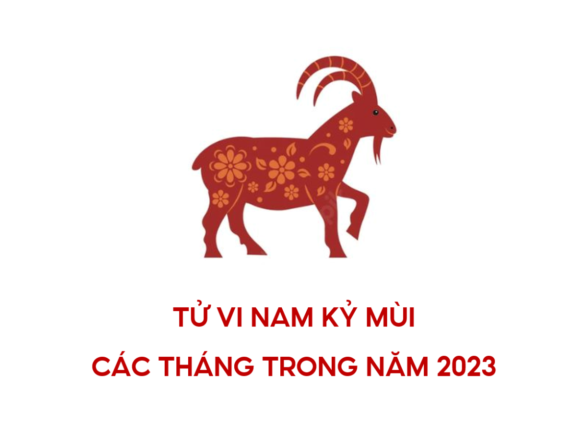 Bình giải tử vi tuổi Kỷ Mùi năm 2023 nam mạng