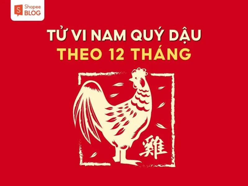 Bình giải tử vi tuổi Quý Dậu năm 2023 nam mạng