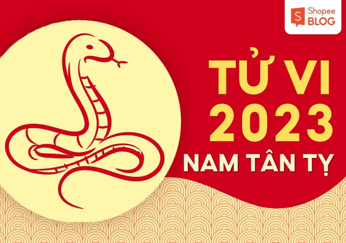 Bình giải tử vi tuổi Tân Tỵ năm 2023 nam mạng