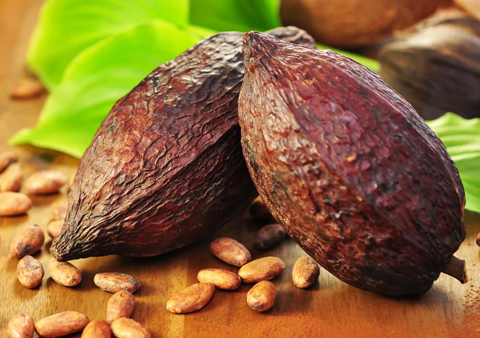 Ca cao có tác dụng gì đối với sức khỏe và cách dùng bột cacao mang lại hiệu quả tốt nhất