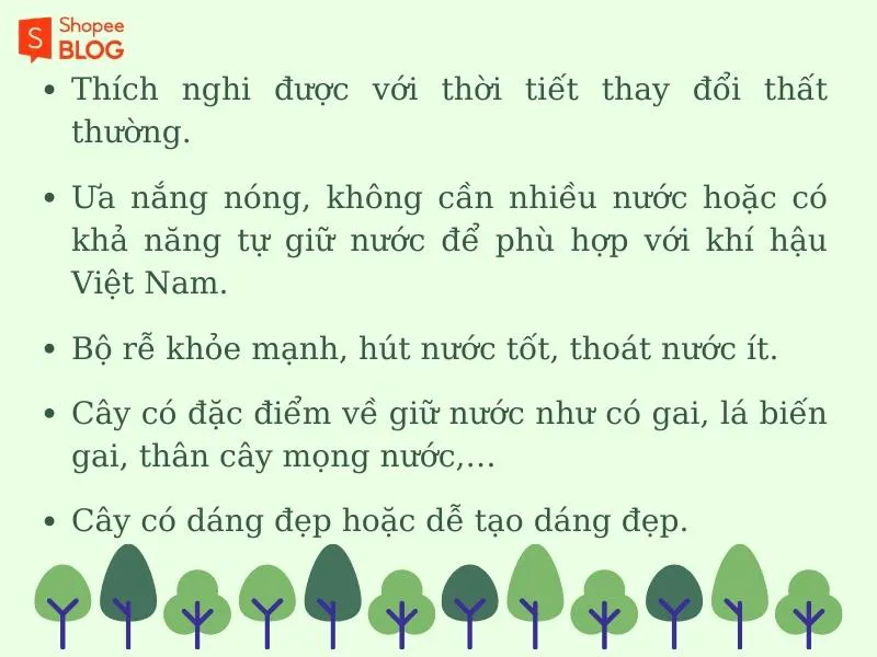 Các loại cây cảnh dễ trồng ngoài trời đẹp và dễ chăm sóc