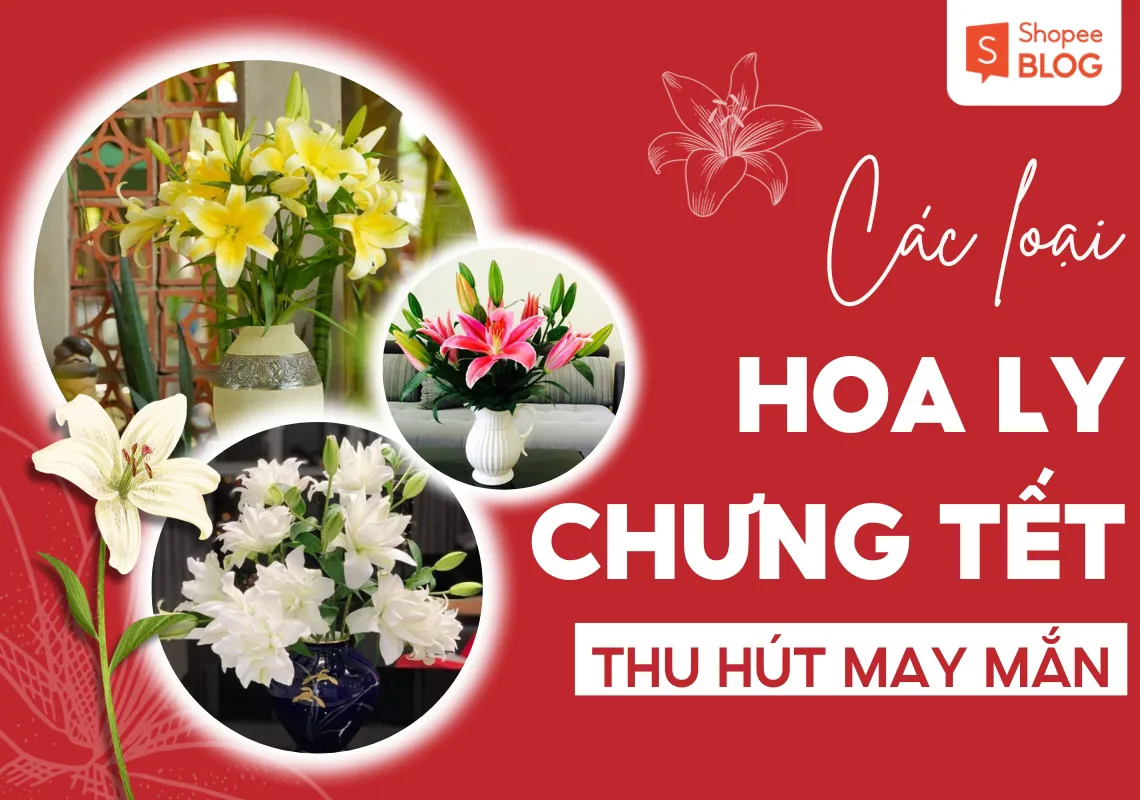 Các loại hoa ly chưng Tết thu hút may mắn, tài lộc