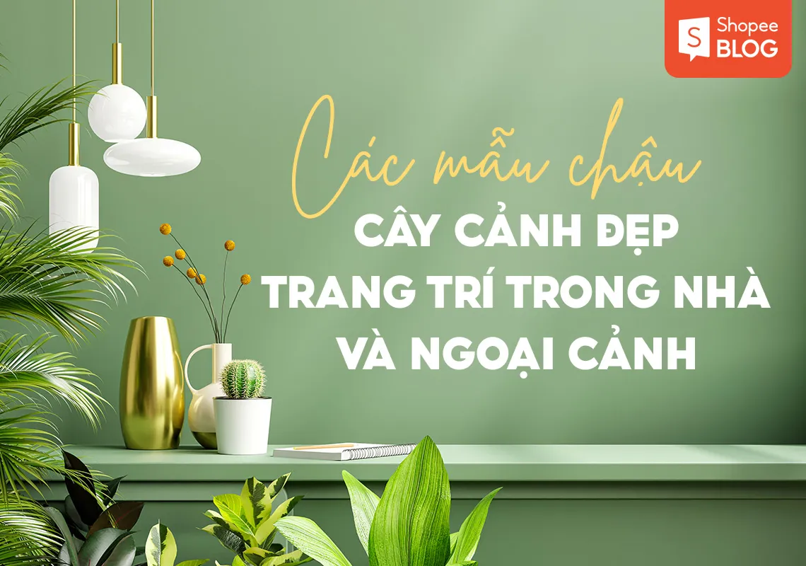 Các mẫu chậu cây cảnh đẹp trang trí trong nhà và ngoại cảnh