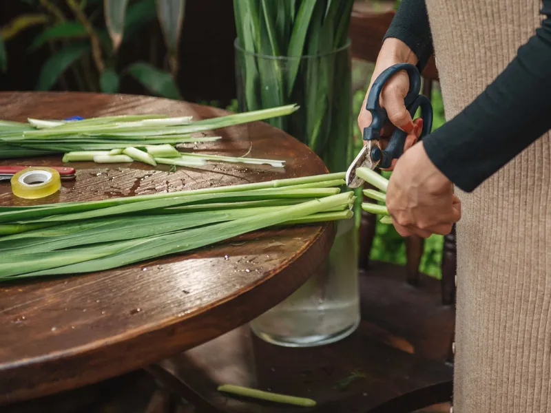 Cách cắm hoa lay ơn ngày Tết đẹp tinh tế, đón Xuân về