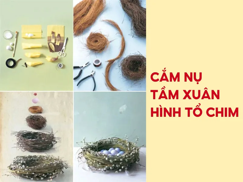 Cách cắm nụ tầm xuân ngày Tết đơn giản, đẹp mắt và tươi lâu