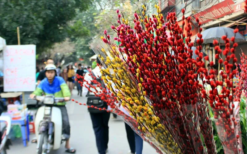 Cách cắm nụ tầm xuân ngày Tết đơn giản, đẹp mắt và tươi lâu