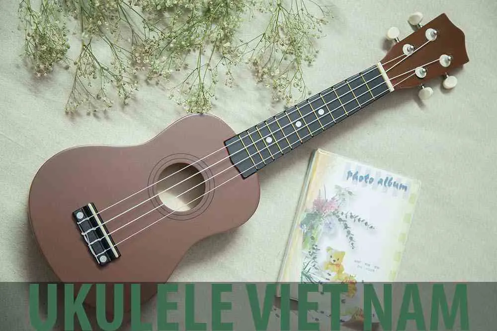 Cách chọn đàn Ukulele phù hợp cho người mới học