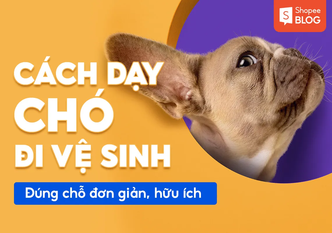 Cách dạy chó đi vệ sinh đúng chỗ đơn giản, hữu ích