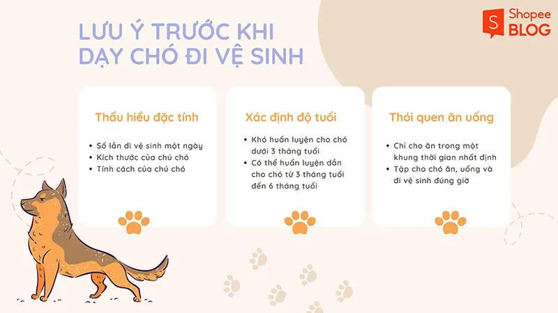 Cách dạy chó đi vệ sinh đúng chỗ đơn giản, hữu ích