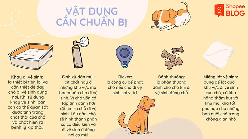 Cách dạy chó đi vệ sinh đúng chỗ đơn giản, hữu ích