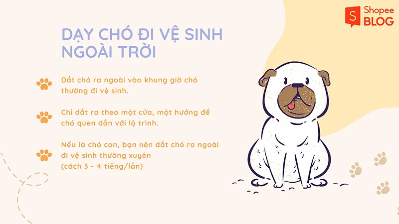 Cách dạy chó đi vệ sinh đúng chỗ đơn giản, hữu ích