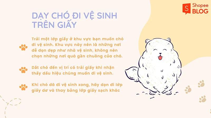 Cách dạy chó đi vệ sinh đúng chỗ đơn giản, hữu ích