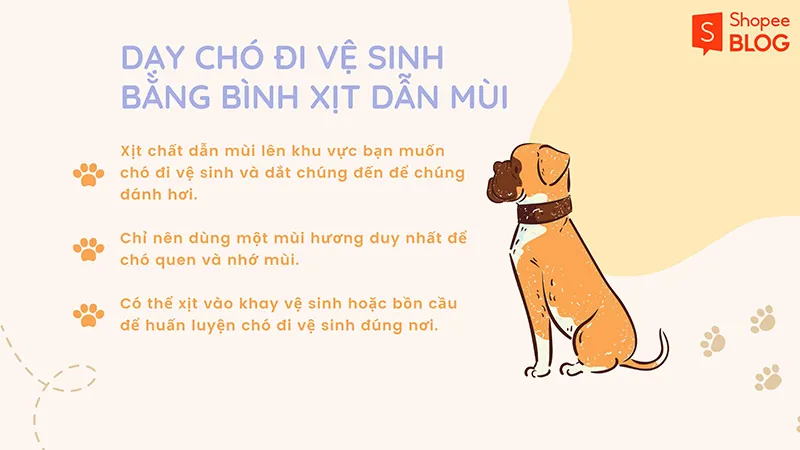 Cách dạy chó đi vệ sinh đúng chỗ đơn giản, hữu ích