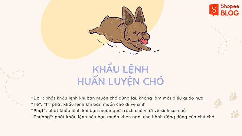 Cách dạy chó đi vệ sinh đúng chỗ đơn giản, hữu ích