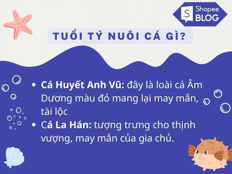 Cách nuôi cá phong thủy theo tuổi hút trọn may mắn tài lộc vào nhà