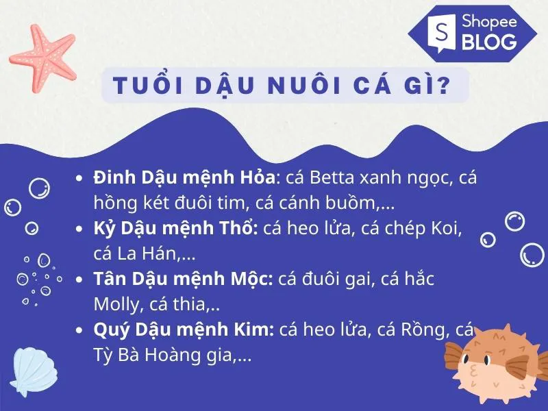 Cách nuôi cá phong thủy theo tuổi hút trọn may mắn tài lộc vào nhà