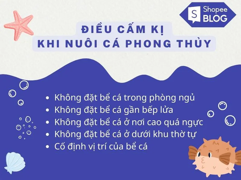 Cách nuôi cá phong thủy theo tuổi hút trọn may mắn tài lộc vào nhà