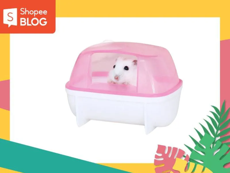 Cách nuôi chuột Hamster cho người mới bắt đầu