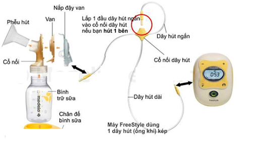 Cách Sử Dụng Máy Hút Sữa Đúng Cách Mẹ Bỉm Không Thể Bỏ Qua