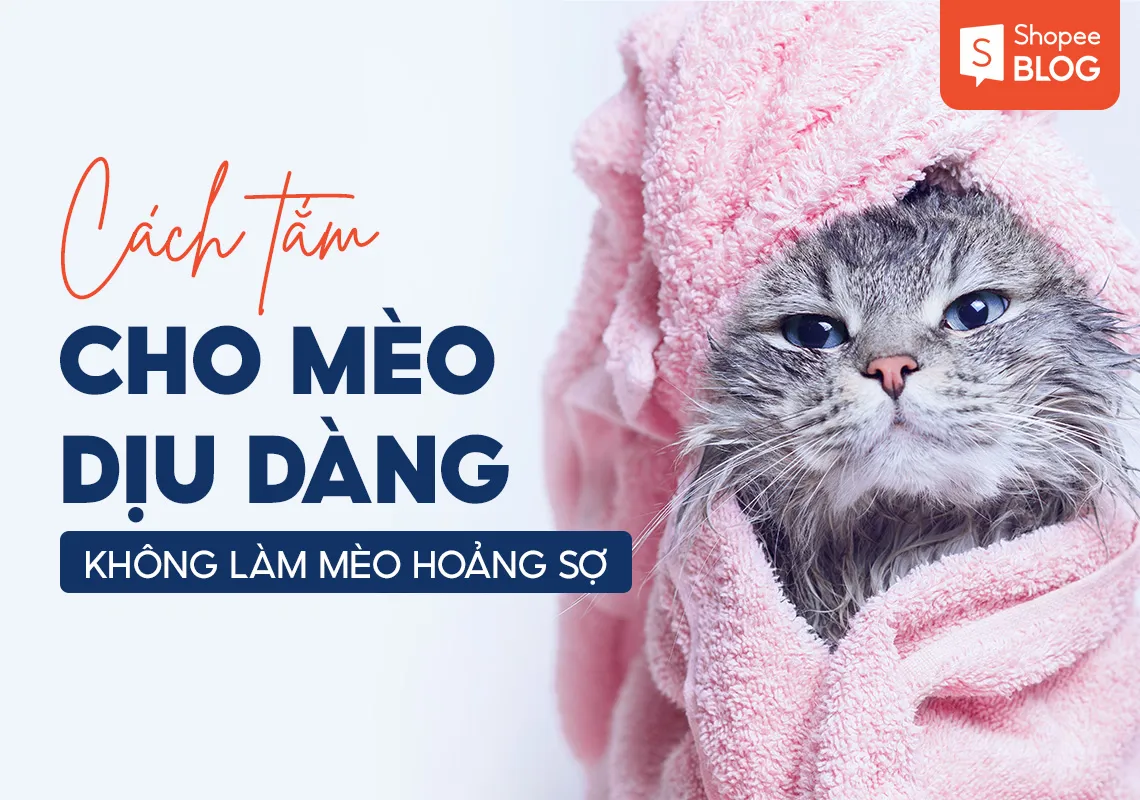 Cách tắm cho mèo dịu dàng không làm mèo hoảng sợ