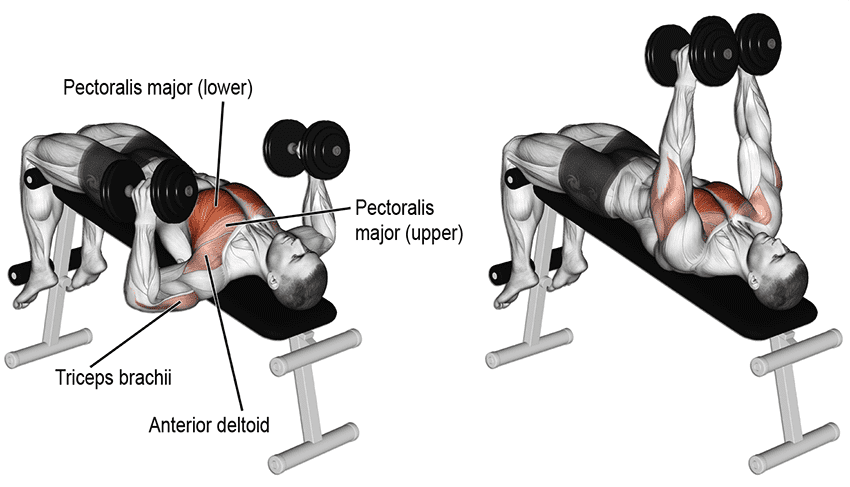 Cách tập gym giảm cân cho nam an toàn và hiệu quả nhất