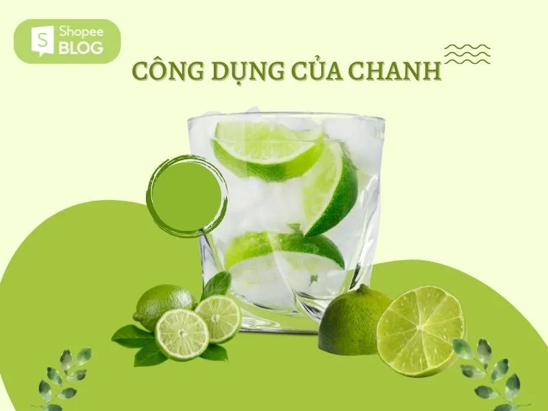 Cách trồng cây chanh mau lớn, khỏe mạnh và trĩu quả