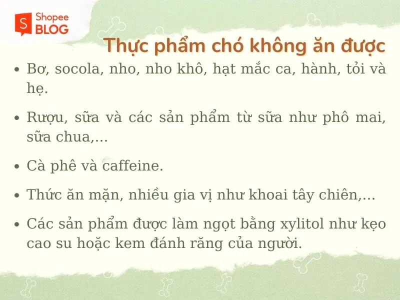 Chó con ăn gì, không nên ăn gì để phát triển khoẻ mạnh?