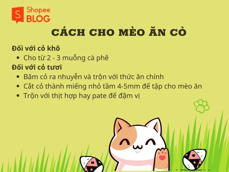 Cỏ mèo là gì và có tốt không? Tại sao nên cho mèo ăn cỏ?