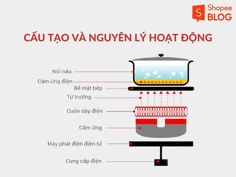 Giữa bếp từ và bếp hồng ngoại, sản phẩm nào phù hợp với bạn hơn?