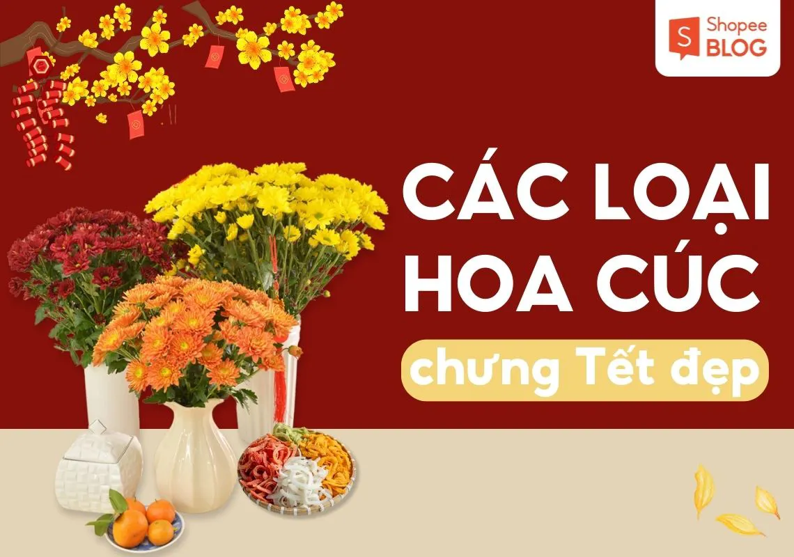 Gợi ý các loại hoa cúc đẹp để chưng trong những ngày Tết 