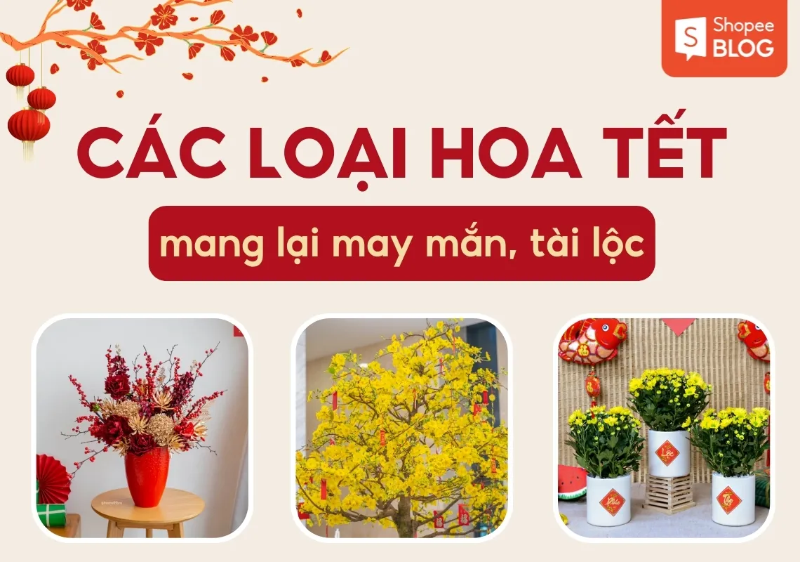 Gợi ý các loại hoa Tết rực rỡ mang lại may mắn, tài lộc