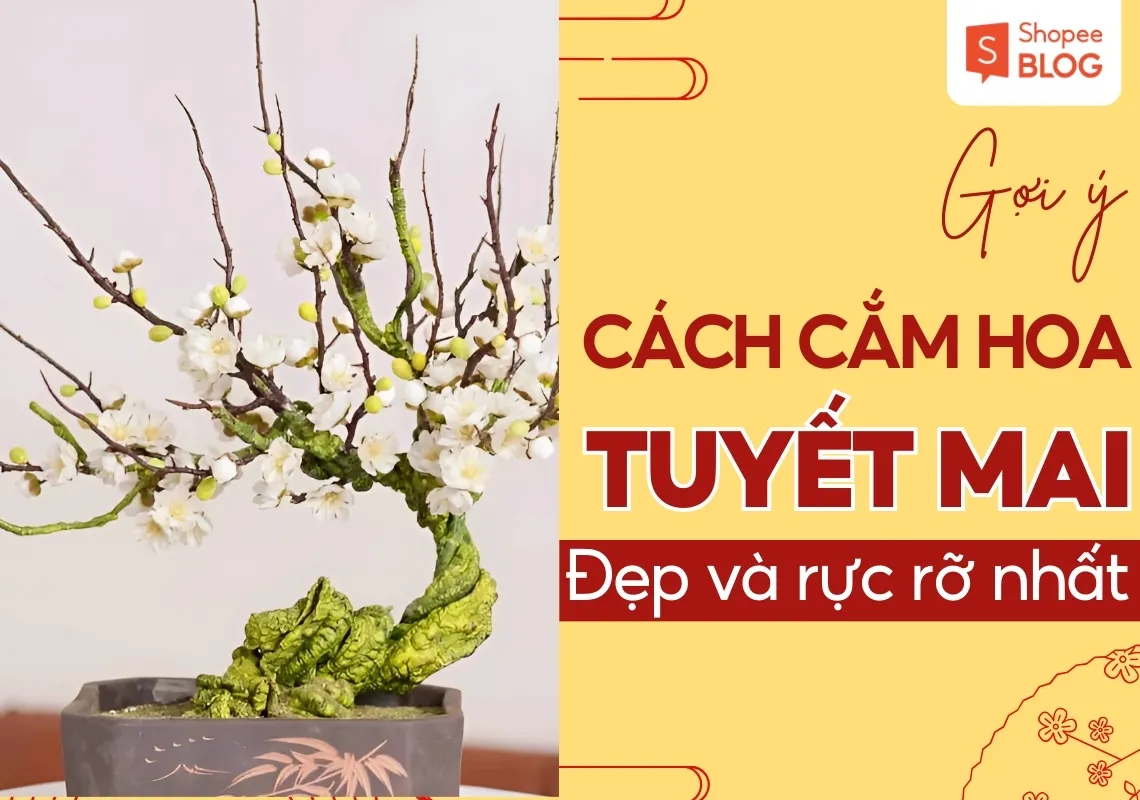 Gợi ý cách cắm hoa tuyết mai đẹp rực rỡ một góc nhà