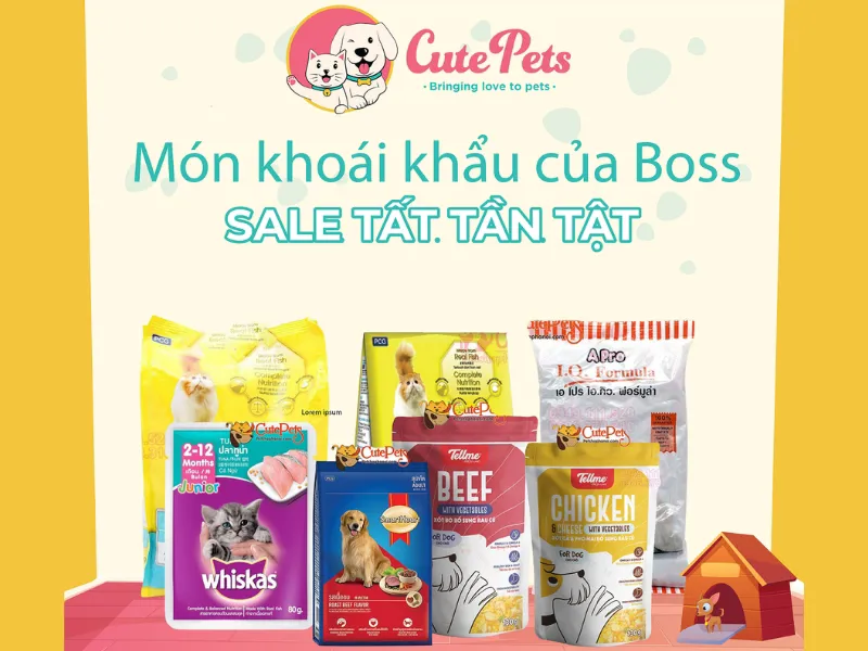 Lần đầu nuôi mèo cần gì? Top những vật dụng cần thiết khi nuôi mèo