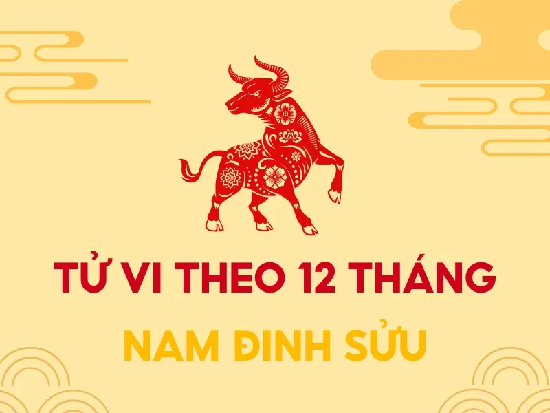 Luận giải lá số tử vi Đinh Sửu 2023 nam mạng chi tiết