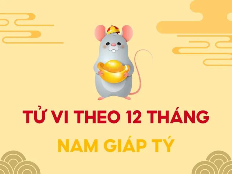 Luận giải lá số tử vi tuổi Giáp Tý năm 2023 nam mạng chi tiết